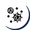 icon_policy